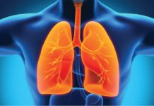 Dr. Roxana Nemeş: Nu va exista niciodată o terapie pe bază de substanţe uleioase pentru plămân