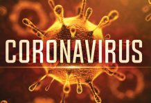 Din 76 de prahoveni infectați cu coronavirus, 53 s-au vindecat și au fost externați