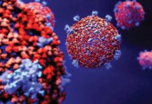 A fost găsită o metodă pentru depistarea de la distanţă a coronavirusului