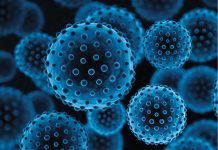 CORONAVIRUS / Dr. Valeriu Gheorghiţă: Pe măsură ce creşte temperatura dincolo de 30-40 de grade, virusului îi scade capacitatea de infecţiozitate