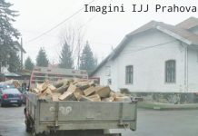 „Transport multiplu de material lemnos” pe un singur aviz de însoțire!