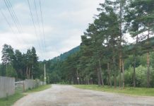 Cu documentele primite de la CJ Prahova și CJ Brașov, Compania Națională de Investiții a lansat licitația pentru drumul Valea Doftanei-Săcele