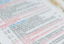 Din 2026, mai mulți Sfinți români și icoane ale Maicii Domnului în calendarul ortodox