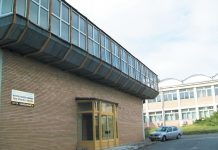 A început culesul strugurilor la cea mai mare colecţie de soiuri protejate din ţară!