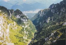 Să te tot mândreşti cu pădurile Prahovei!