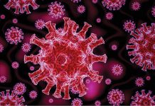 Leziunile pulmonare descoperite la pacienţi decedaţi dezvăluie informaţii despre „COVID-ul de lungă durată”