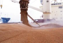 Producţia de grâu adunată şi „aflată sub cheie” este de peste 9 milioane de tone