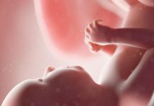 Microparticule de plastic, descoperite în placenta copiilor nenăscuţi