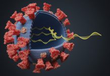 Reinfectarea cu SARS-CoV-2 este mai riscantă decât infecţia iniţială, potrivit unui studiu