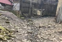 Deversarea dejecțiilor dintr-o hazna, subiect de scandal și de reclamații la Slănic