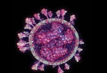 Expertul în politici de sănătate publică Răzvan Cherecheş: Vom avea un val patru al pandemiei de COVID-19, dar nu vom ajunge să fie inundate secţiile de terapie intensivă