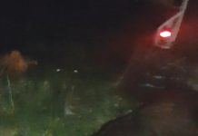 Un cal a fost lăsat să moară pe un câmp de lângă Lipăneşti