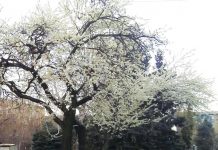 INSTANTANEE din Prahova