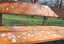 INSTANTANEE din Prahova