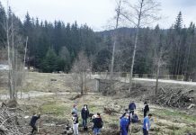 Peste 44 de hectare de teren urmează să fie împădurite, în această primăvară, de către Direcţia Silvică Prahova