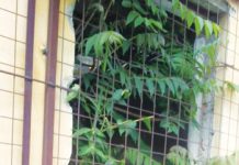 INSTANTANEE din Prahova