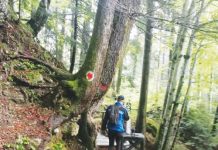 Jandarmii prahoveni, la datorie în minivacanţa de Rusalii