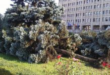 INSTANTANEE din Prahova