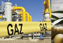 Energia electrică, gazele şi uleiul comestibil s-au scumpit cel mai mult în ultimul an, la cartofi-cea mai mare scădere