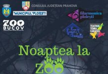 Comportamentul animalelor pe timpul nopţii poate fi observat, mâine, la Grădina Zoologică de la Bucov