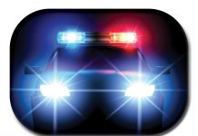 Trei cai, lăsați nesupravegheați pe şoseaua Măgurele-Bălțeşti, au murit după ce au fost loviți de o mașină