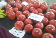 INSTANTANEE din Prahova