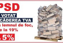 Proiect PSD, adoptat de Parlament. Lemnul de foc va fi mai ieftin, de la 1 Decembrie!