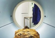 Secretele unei mumii egiptene, dezvăluite cu ajutorul imagisticii medicale