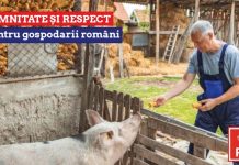 Deputatul PSD Bogdan Toader: „Nu voi susţine interzicerea creşterii porcilor în gospodăriile românilor!”