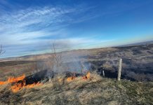 Weekend de foc pentru pompierii prahoveni