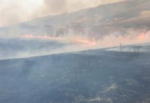 Incendiatorii terenurilor din Prahova, căutați de pompieri, comisari de mediu, APIA, polițiști și jandarmi