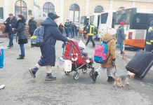 Circa 20.000 de refugiaţi ucraineni au beneficiat de asistenţă medicală în ţara noastră