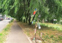 Reacţia Primăriei Ploieşti la pericolul public reprezentat de căminul de vizitare fără capac de pe strada Cornăţel