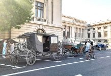 Instantanee din Prahova