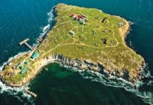 Armata rusă a anunţat retragerea trupelor sale din Insula Şerpilor