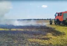 Au reînceput incendiile de vegetație uscată în Prahova! Riscurile sunt amplificate de caniculă