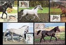 Romfilatelia introduce în circulaţie emisiunea de mărci poştale „Rase de cai”