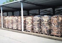 Romsilva va pune la dispoziţia populaţiei circa două milioane metri cubi de lemn pentru foc