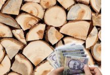 Ministerul Mediului propune un ajutor de 150 lei/mc pentru lemnul de foc destinat încălzirii