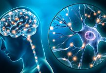 Peste 700 de medici neurologi din întreaga lume participă la Congresul Federaţiei Europene de Neuroreabilitare