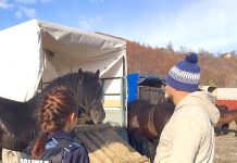 Poliţiştii de la Protecţia Animalelor, atenţionări şi verificări la o expoziţie de animale din Comarnic