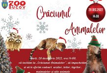 La Zoo Bucov – ”Crăciunul animalelor”