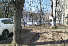 INSTANTANEE din Prahova