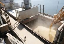 Rusia va livra gratuit Africii cerealele necesare, dacă acordul asupra exporturilor ucrainene nu va fi prelungit