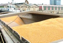 Parisul şi Berlinul se opun prelungirii restricţiilor impuse la importurile de cereale ucrainene în UE