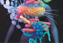 A fost identificată o posibilă cauzalitate între flora microbiană şi longevitate