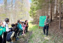 Ocolul Silvic Câmpina – gazdă de o zi pentru elevi de la Colegiul Naţional „Nicolae Grigorescu“
