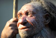 Actualitate medicală/ Analiză genetică: Dimensiunea nasurilor de Neanderthal a fost transmisă oamenilor moderni