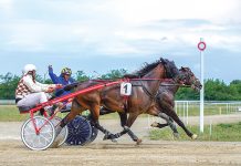 Spre vârful sezonului