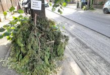 Instantanee din Prahova